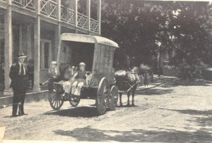 Ice wagon